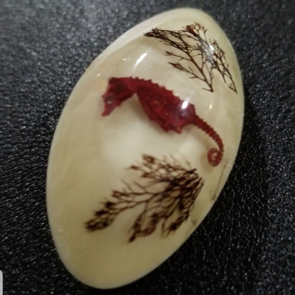 Seahorse and Coral Specimen Trapped in Resin Vintage Brooch (1960s) - Picture 2 of 5